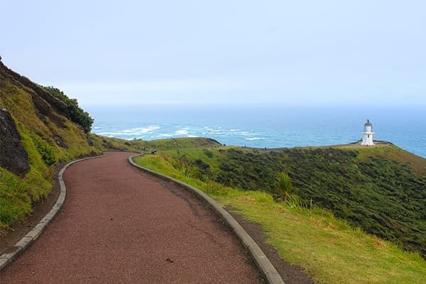 Camino al faro de Cape Reinga