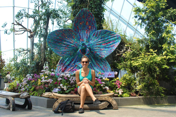 Las flores fantásticas del Flower Dome en Singapur