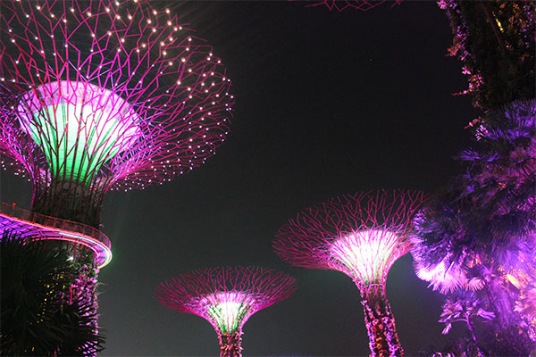 El espectáculo nocturno de Gardens by the Bay