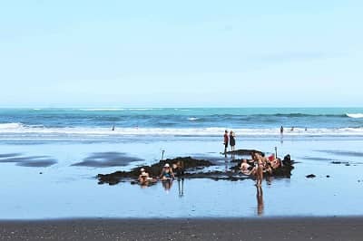 Las Hot Water Beach en la isla norte de Nueva Zelanda