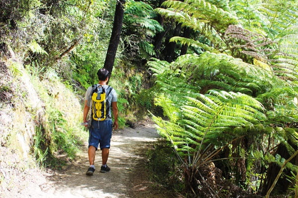 Andando por el Abel Tasman National Park Coast Track