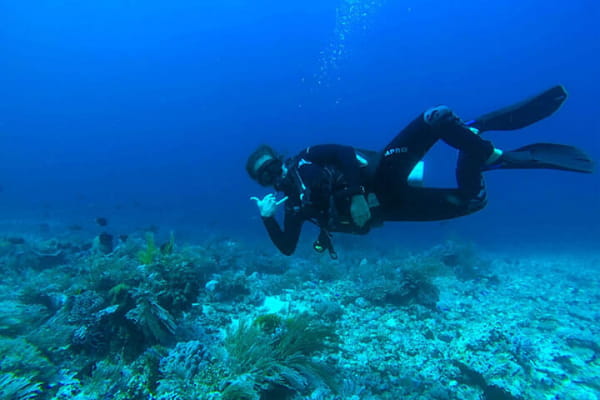 Disfrutando del fondo marino en el arrecife de Flynn