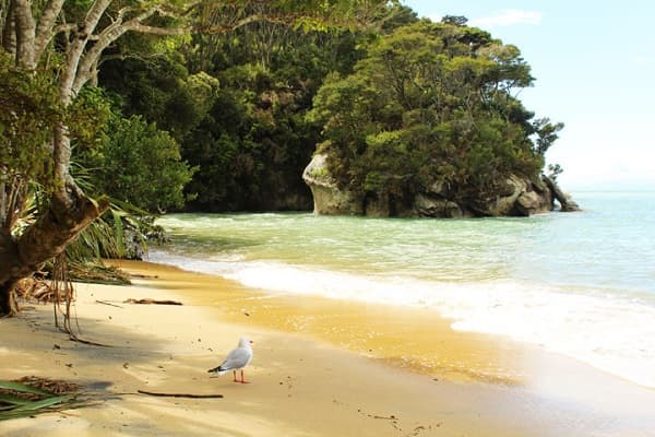 Stillwell Bay at the Abel Tasman National Park